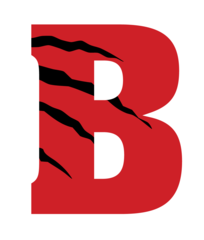 Little Silver Beasts Baseball