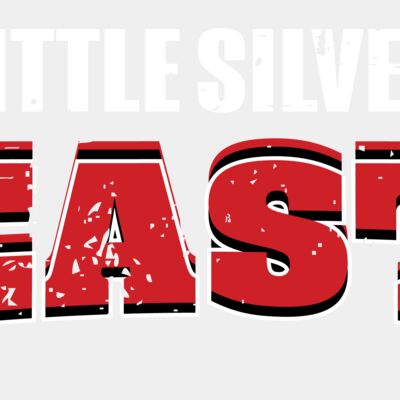 Little Silver Beasts 02 Thumbnail
